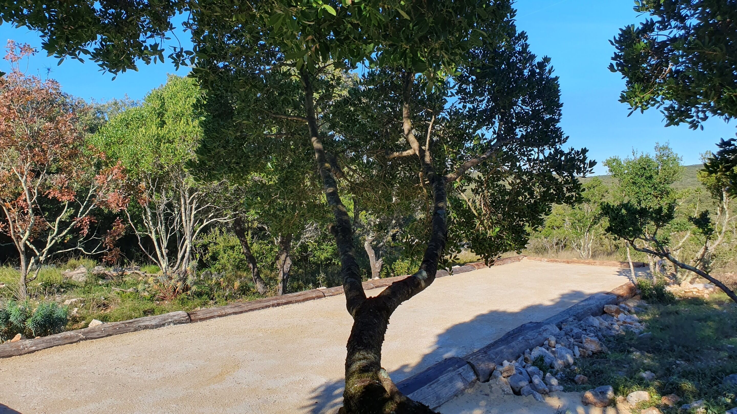 Área da propriedade