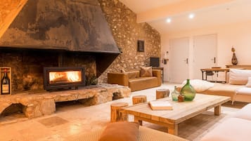 Una televisión, una chimenea, un reproductor de DVD, libros