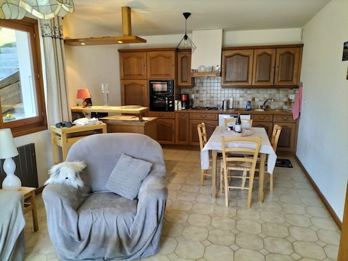 Garden level in chalet facing summer-winter resort