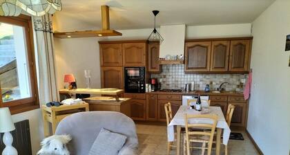 Garden level in chalet facing summer-winter resort