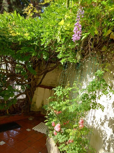 Ground floor with garden 2 beach front