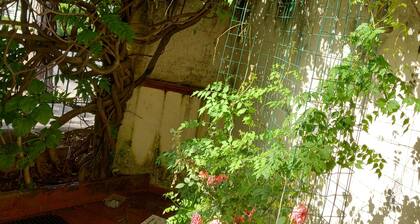 Ground floor with garden 2 beach front