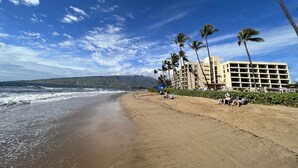 Una playa con un hotel, palmeras y olas del océano.