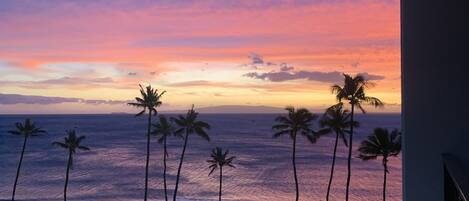 Una piscina al aire libre, una piscina climatizada