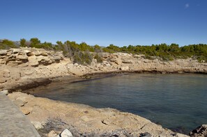 Une côte rocheuse bordée d’une eau claire et d’une végétation clairsemée.