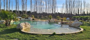 A landscaped pool area with rocks and palm trees. - Mas Des Cerisiers (Avignon)