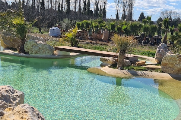 Seasonal outdoor pool, pool umbrellas, pool loungers