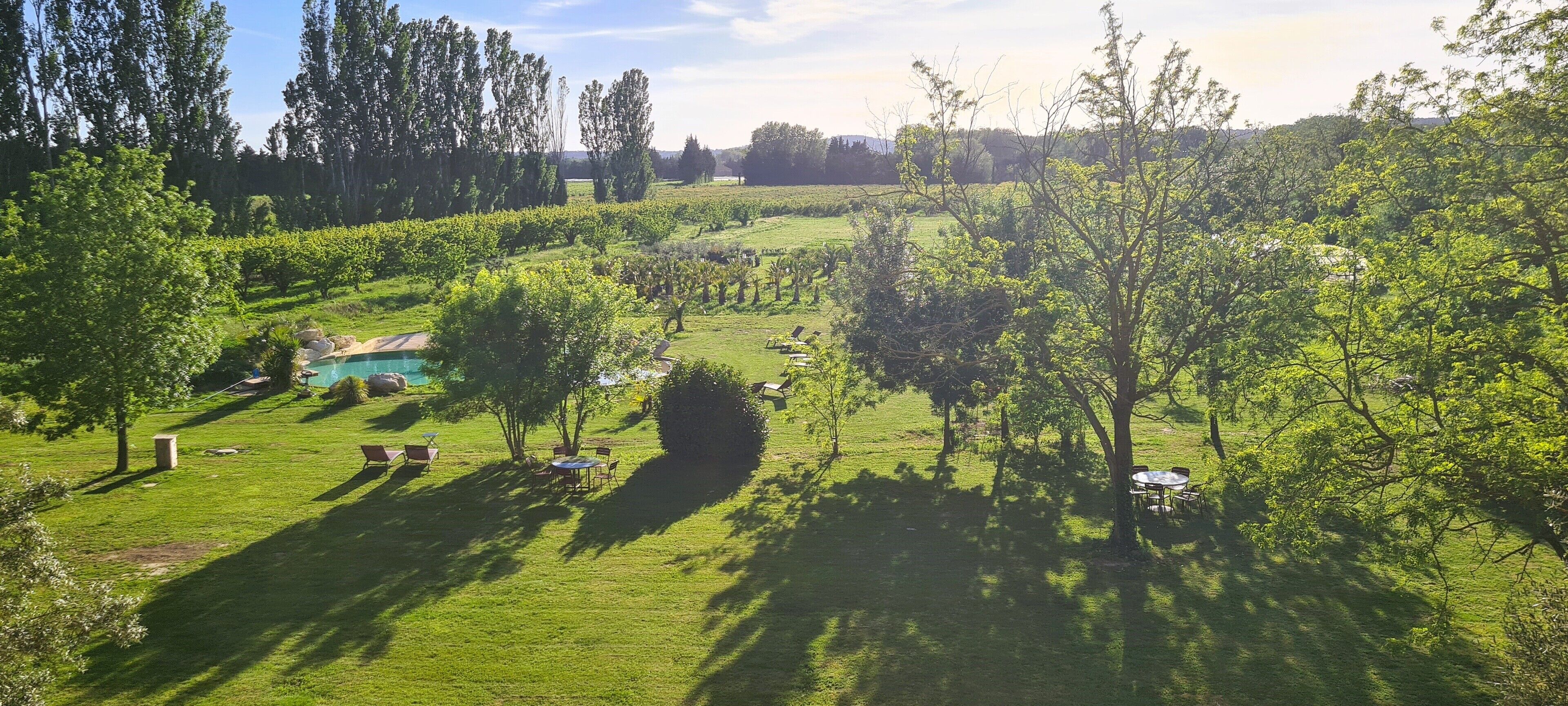 Un paysage verdoyant et luxuriant, avec une piscine, des arbres et des espaces de détente en plein air.