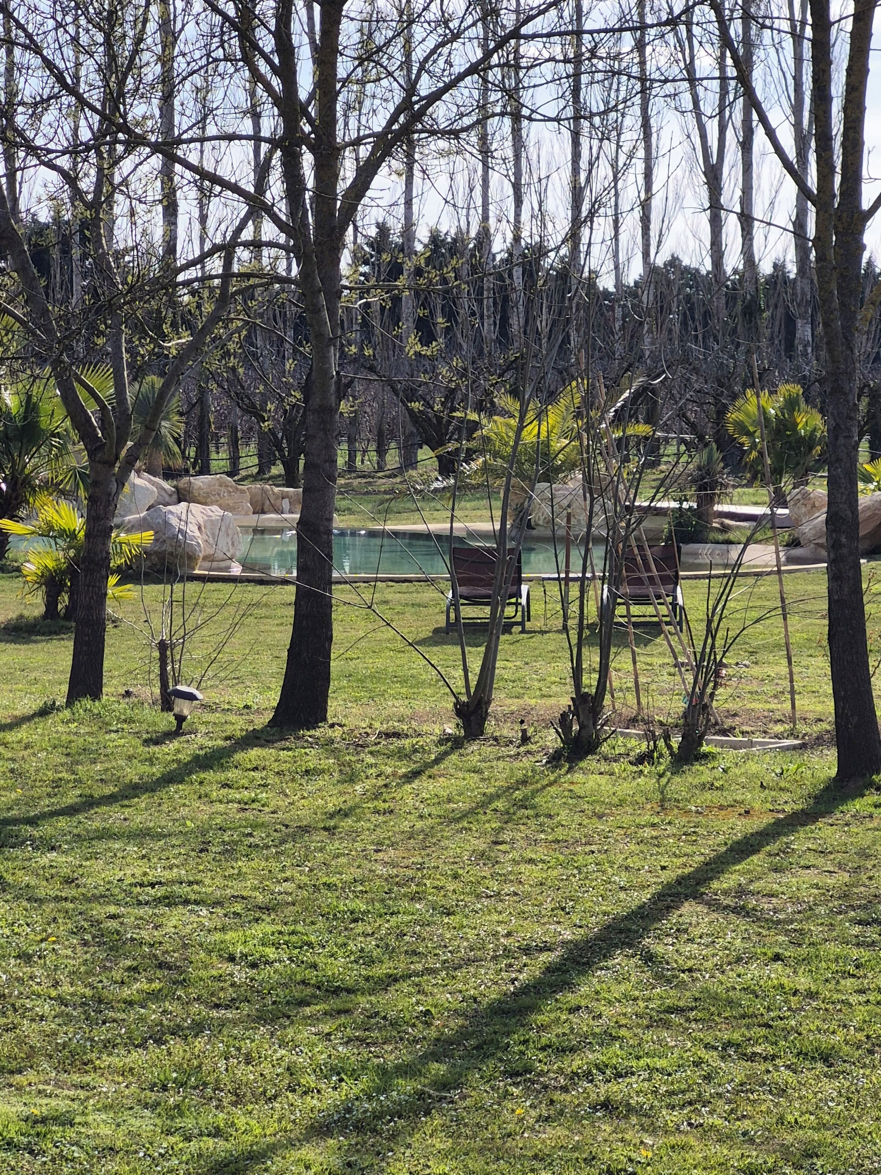 A park with a grassy area, trees, a bench, and a swimming pool.