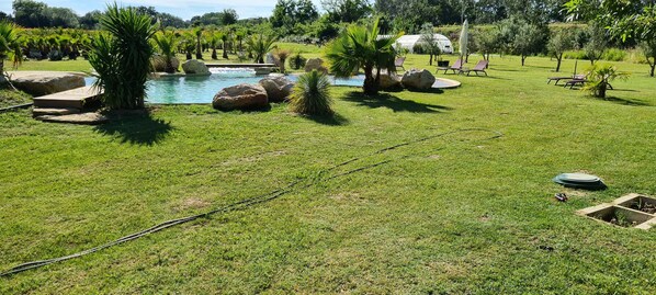 A well-maintained garden with a swimming pool, large rocks, and lounge chairs. - Mas Des Cerisiers (Avignon)