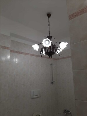 Combined shower/bathtub, hair dryer, bidet, towels