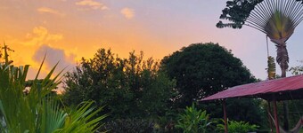 5 minutes to the marine in sierpe peninsula osa, Costa Rica! Bed & Bread Hotel!!