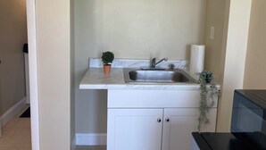 A small kitchen with a sink, a potted plant, and a shelf above the counter.
