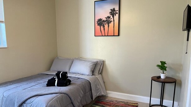 A bedroom with a bed, pillows, a colorful rug, a wall-mounted TV, and a small table with a plant.