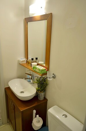 Combined shower/tub, hair dryer, towels, soap - Apartment in Xylokeratidi Amorgos (Αμοργός)