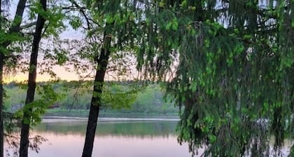 Lakefront Cottage with Amazing Views and Privacy!