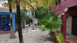 A courtyard with palm trees, a stone pathway, and a blue building with a door. - Casa Makoshi An oasis of tranquility in Divers Paradise (Hato)