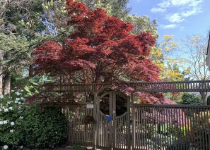 Terrein van de accommodatie