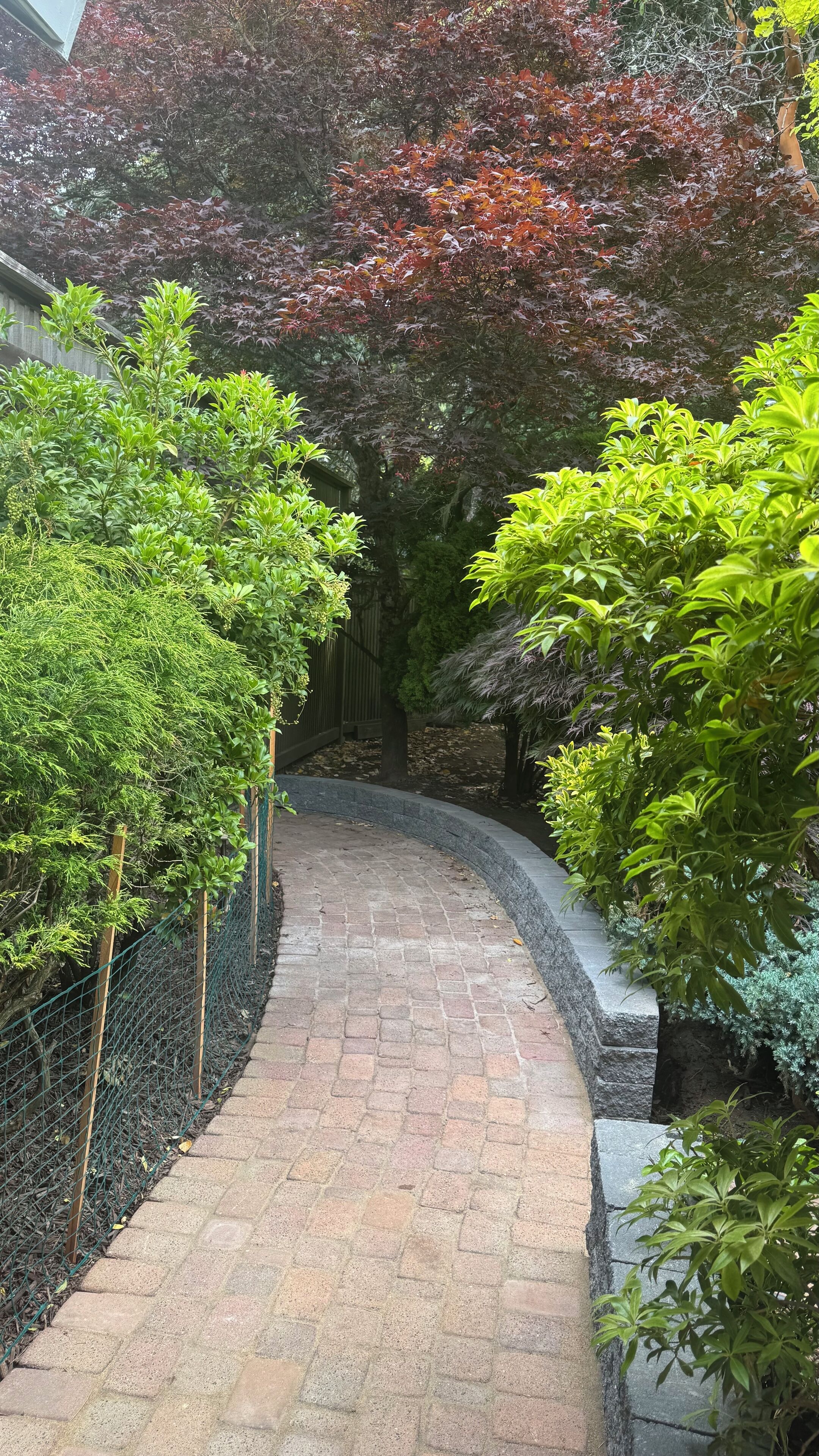 A paved pathway flanked by lush greenery and trees.