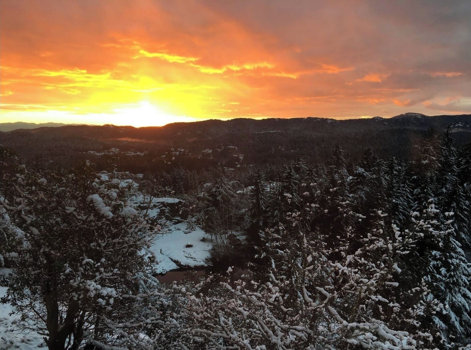 Un paysage montagneux avec des arbres couverts de neige et un coucher de soleil en arrière-plan.