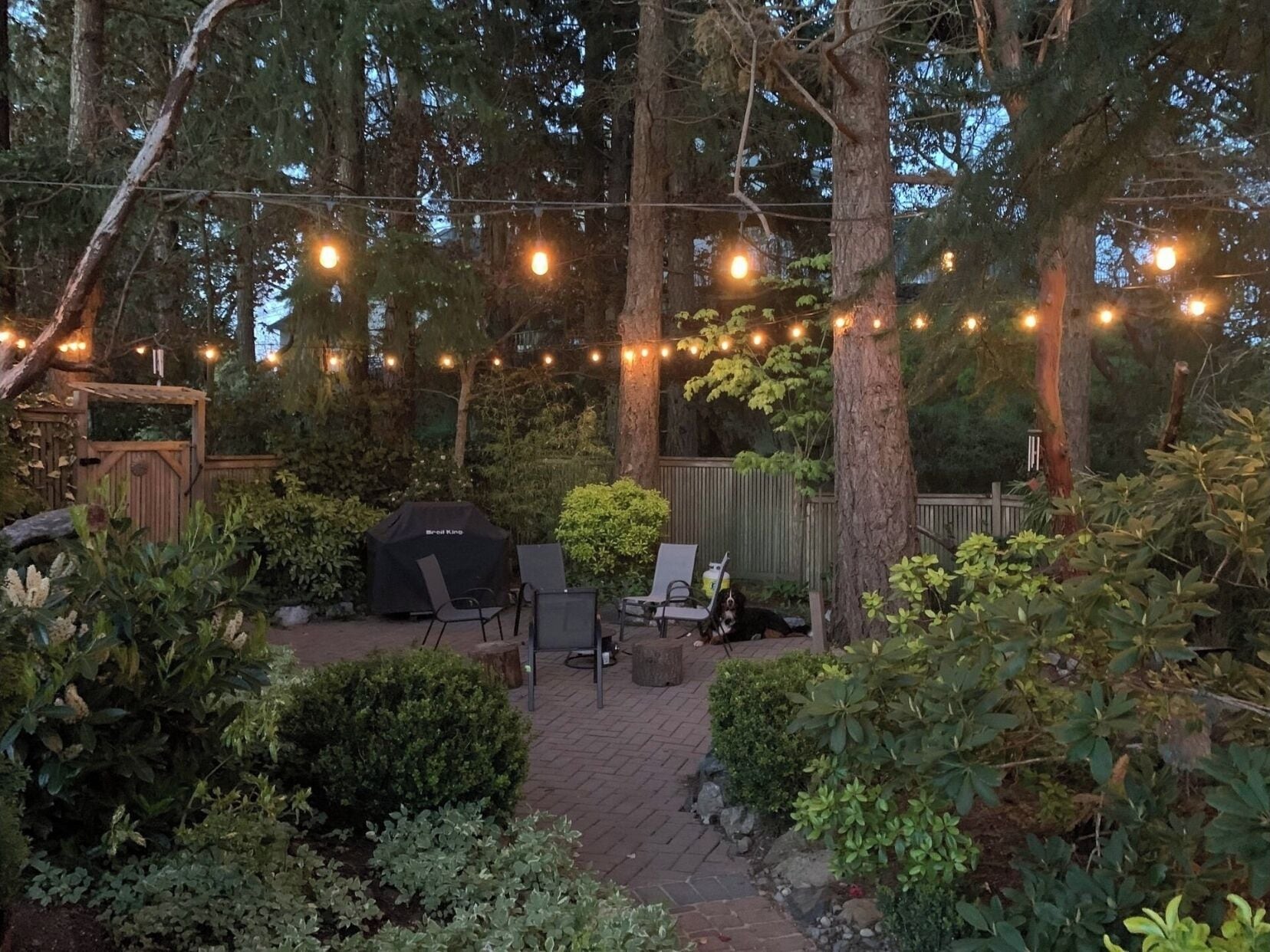 テラス / パティオ