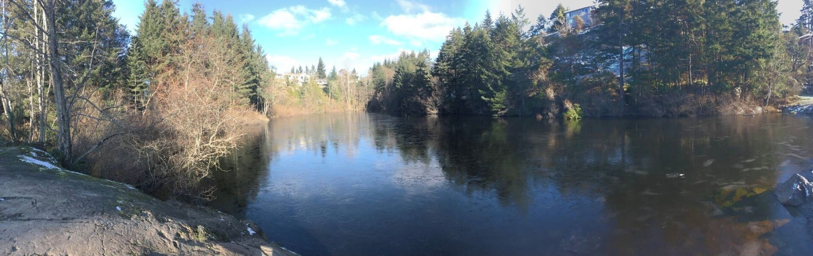 A calm river surrounded by dense forest and a few buildings in the background.