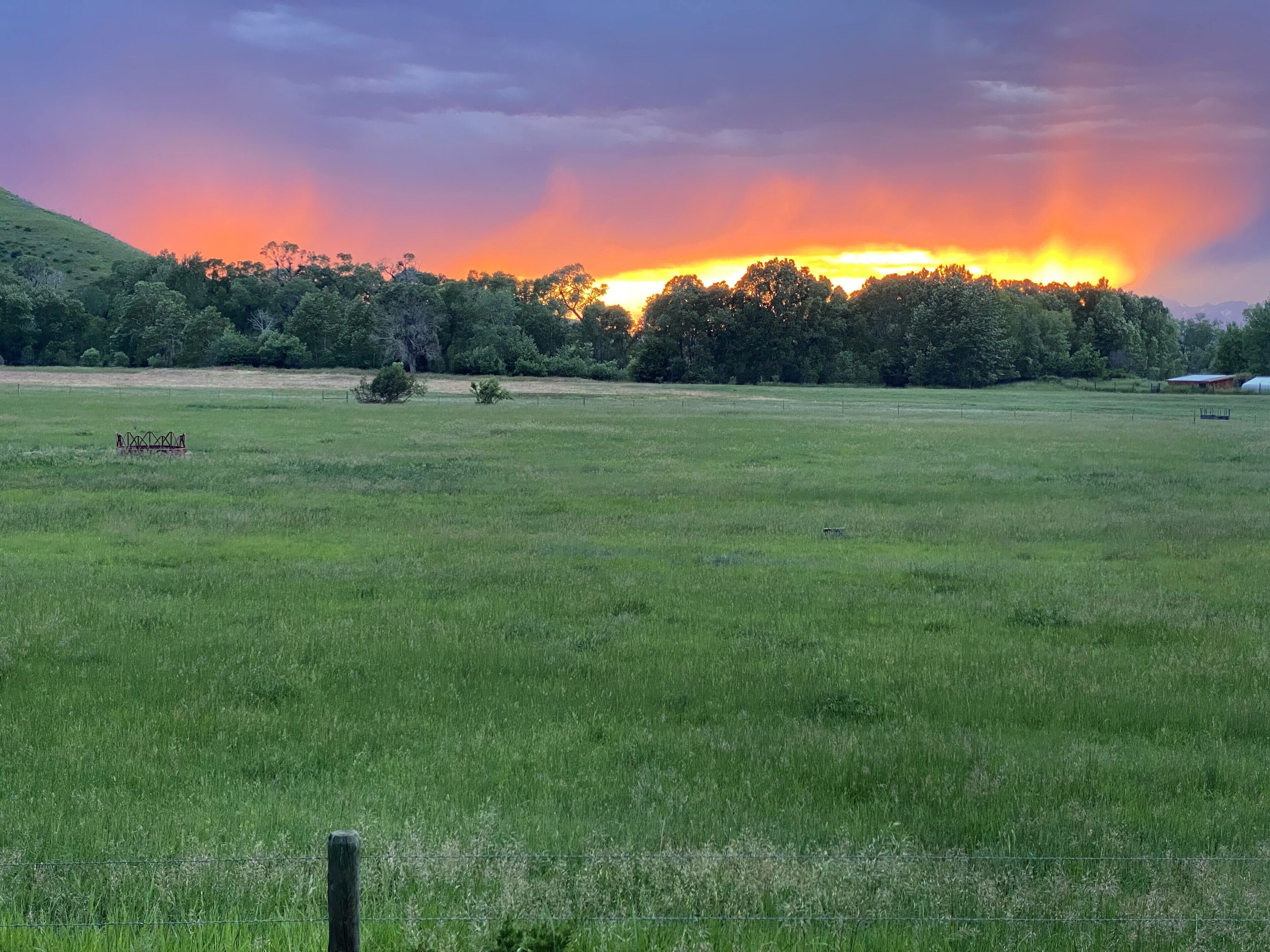 A wide, open field with a fence in the foreground and a line of trees in the background.