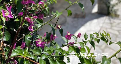 2 Bedroom Condo in Herceg - Novi