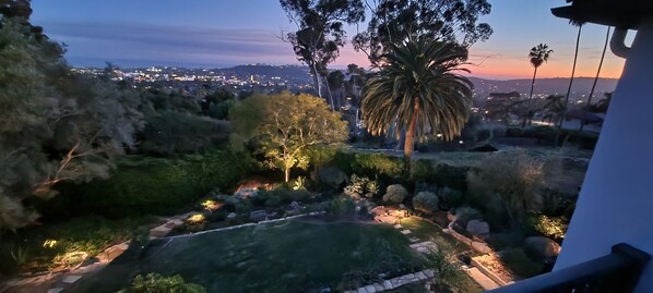 A garden with a palm tree, rocks, and a pathway.