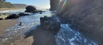 Ocean Retreat Sauna Hot Tub Walk 2 Beach Dog EVC