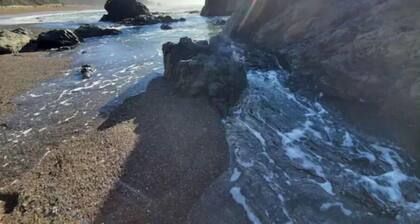 Ocean Retreat Sauna Hot Tub Walk 2 Beach Dog EVC