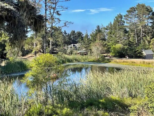En rolig sø omgivet af frodig vegetation og træer, med en mindre bygning i baggrunden.