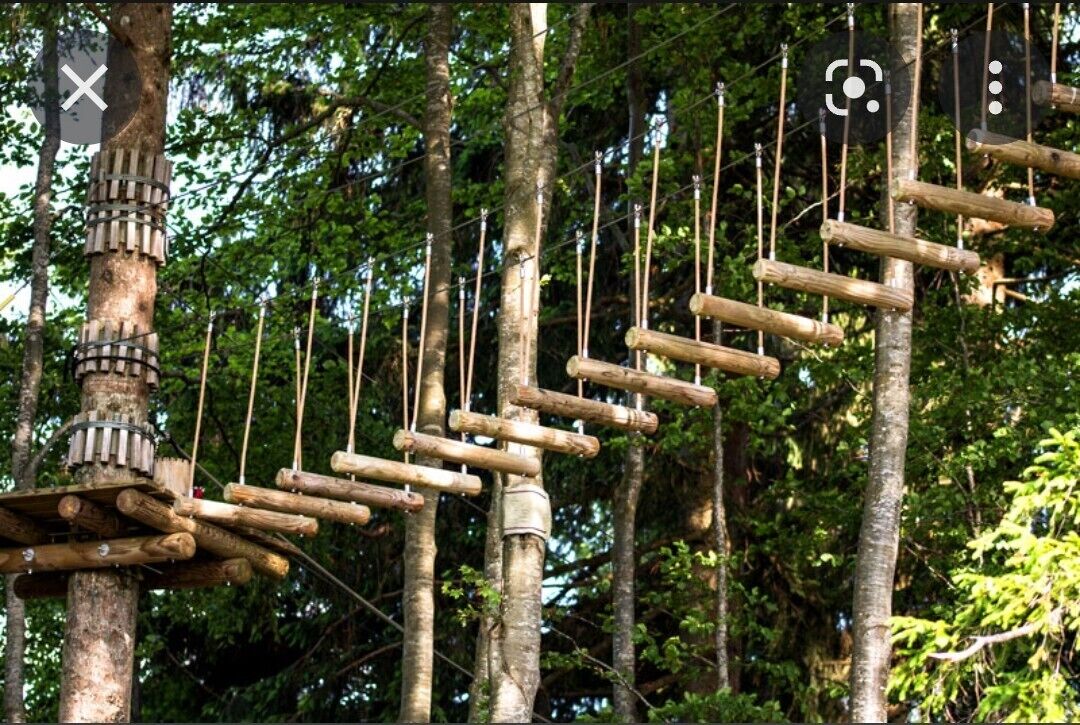 Un puente colgante de tablones de madera y cuerdas, suspendido entre árboles en un bosque.