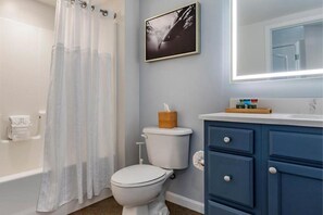 Hair dryer, towels, toilet paper
