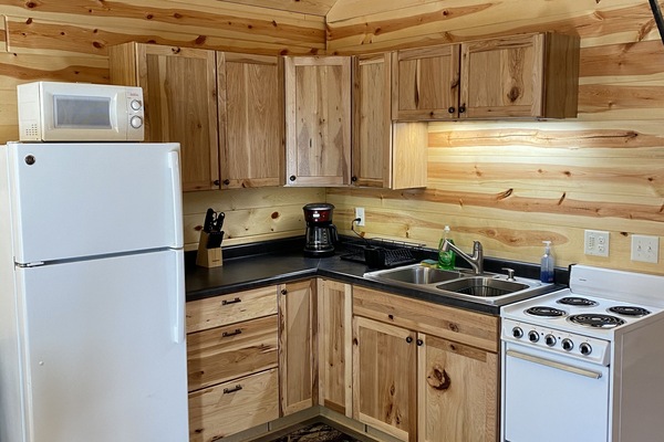 Refrigerador, microondas, horno, placa de cocina