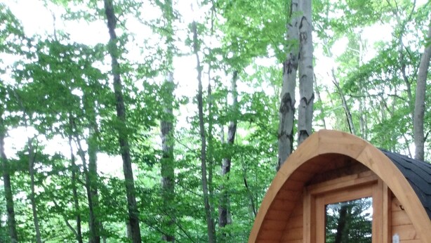 A wooden cabin with a deck, surrounded by a forest. - Lookout Camping Pod (Freeville)