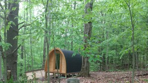 A forest with a small, round, wooden structure with a window, surrounded by trees and leaves on the ground. - Lookout Camping Pod (Freeville)