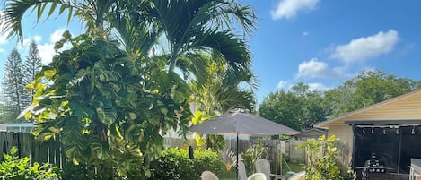 A backyard with a pool, a barbecue area, and a patio with chairs and an umbrella.
