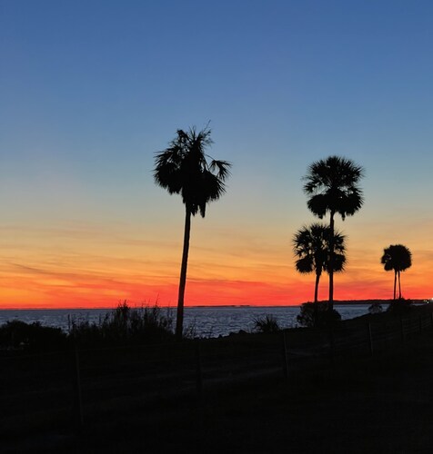 Three Little Birds cozy cottage 10 min from St. George Island and Apalachicola!