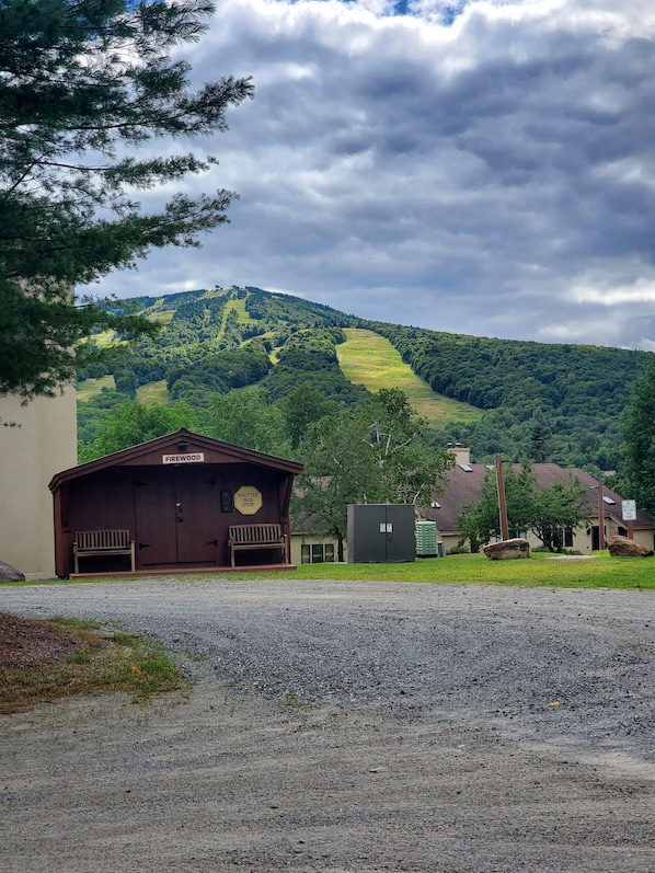 Terrain de l’h ébergement 