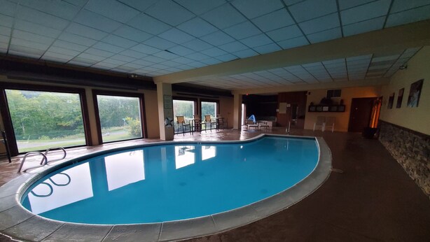 Une piscine intérieure avec des parois en verre transparent, un plafond carrelé et une vue sur la verdure environnante.