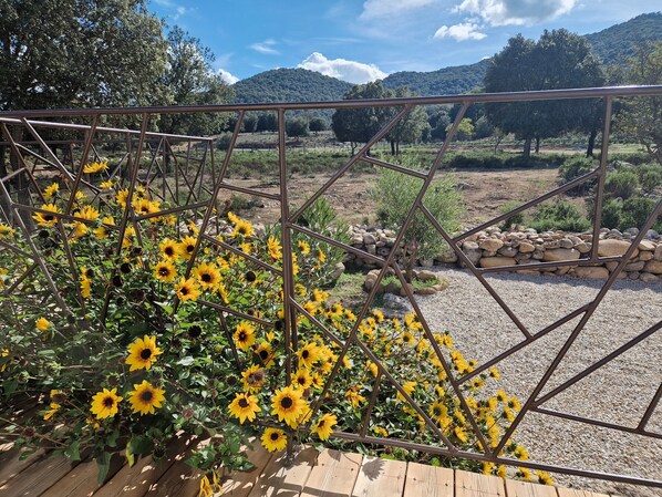 Áreas de la propiedad