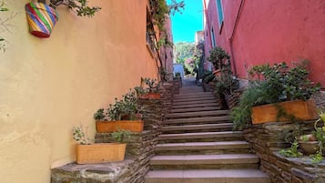 Terrain de l’hébergement