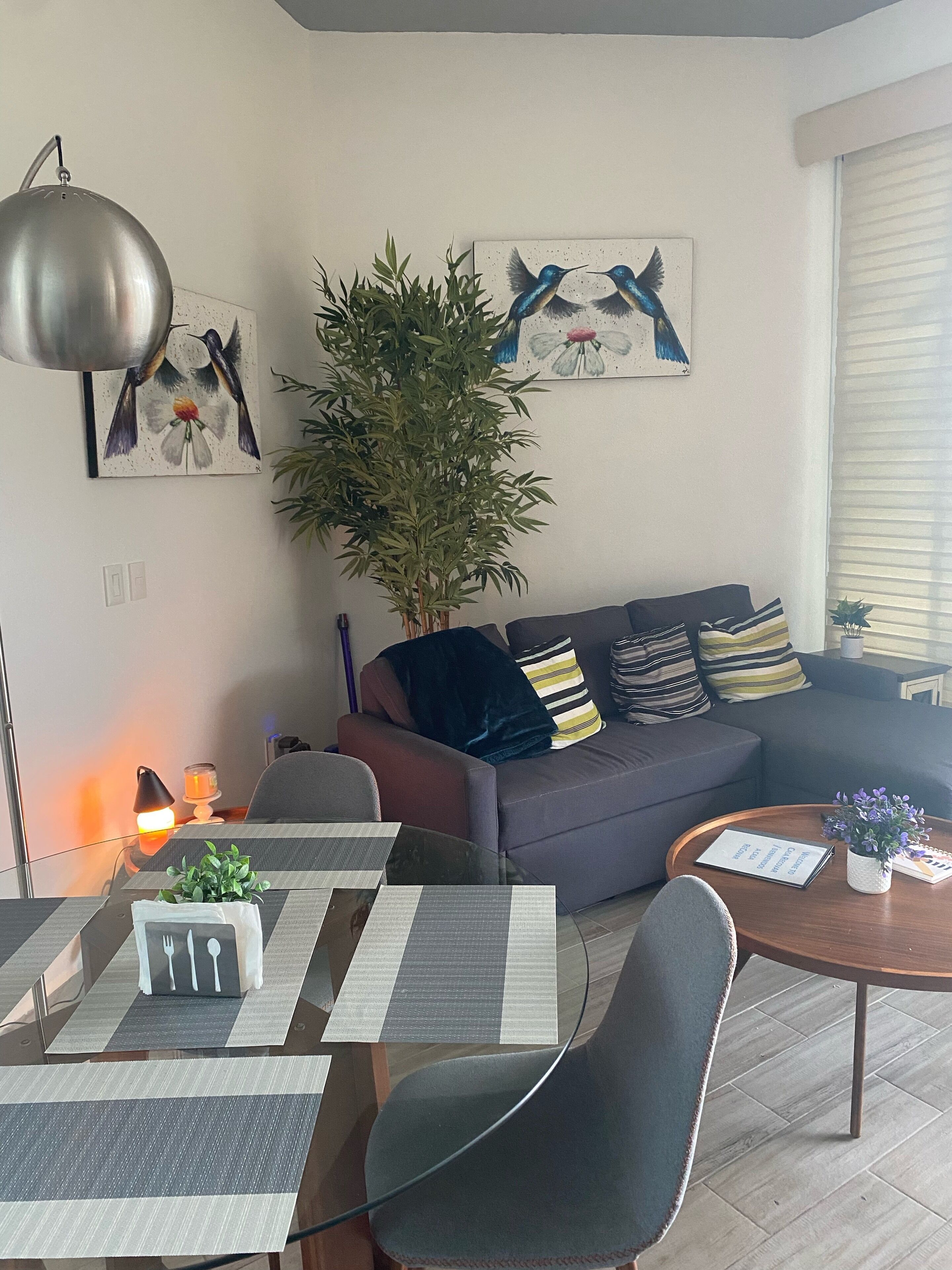 Smart TV, computer monitors