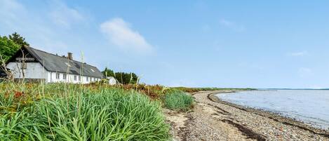 Beach nearby, fishing