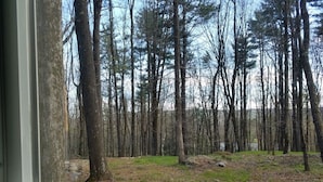 A window view of a forest with tall trees and a grassy area.