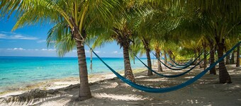  #1 rated Landmark Resort on Cozumel Ocean view, large 3 bdrm suites 5 stars