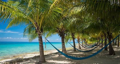 #1 rated Landmark Resort on Cozumel Ocean view, large 3 bdrm suites 5 stars