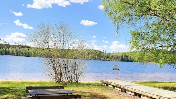 A lakeside picnic area with a wooden bench and a dock extending into the water.