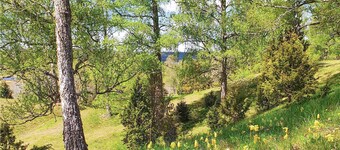 3 bedroom beautiful home in Bullebo